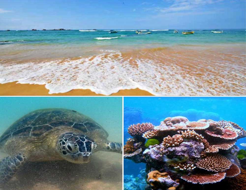 hikkaduwa ocean bliss