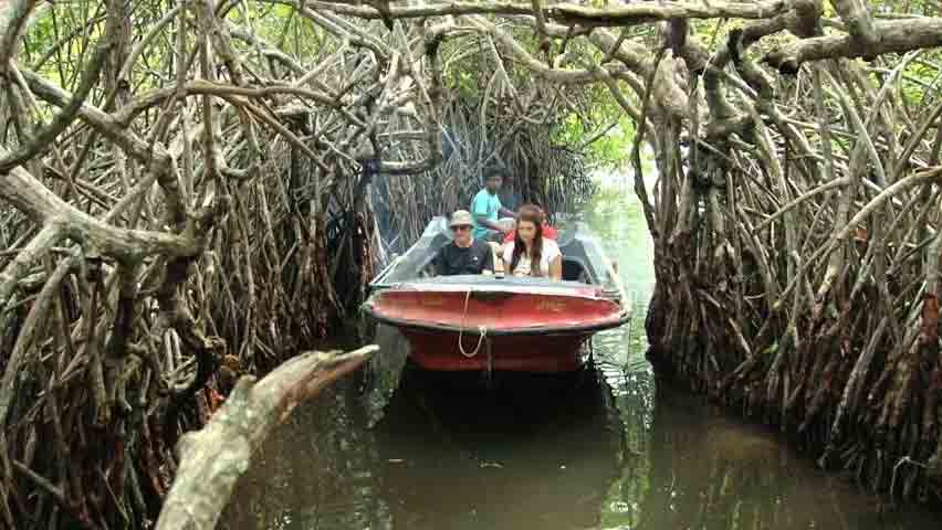 madu river balapitiya