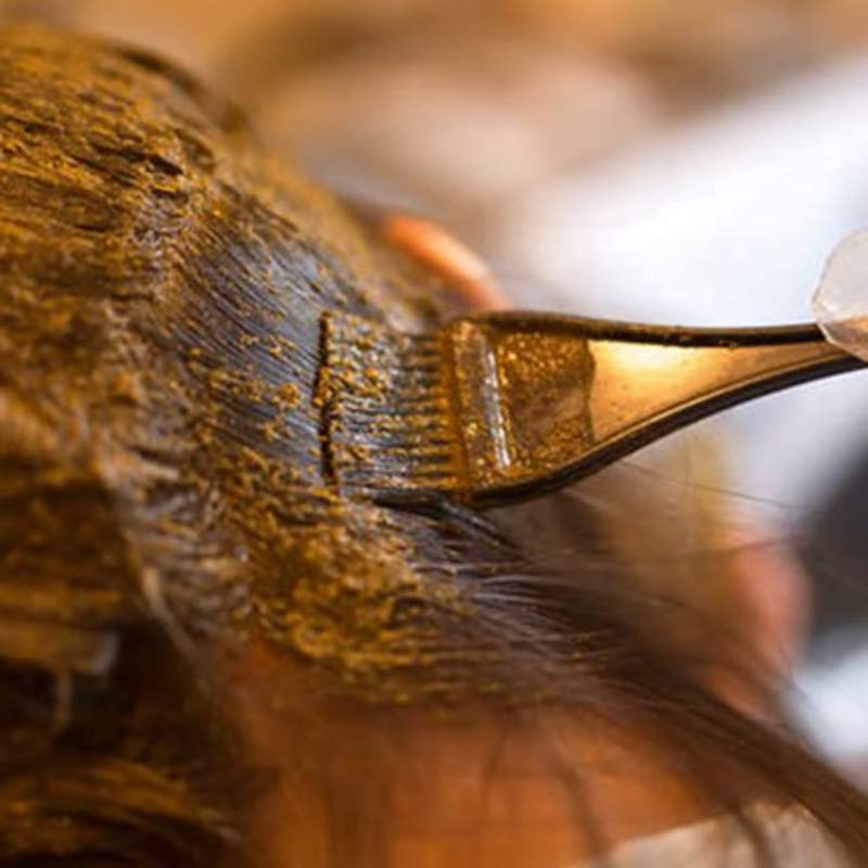 herbal gray hair controlling treatment