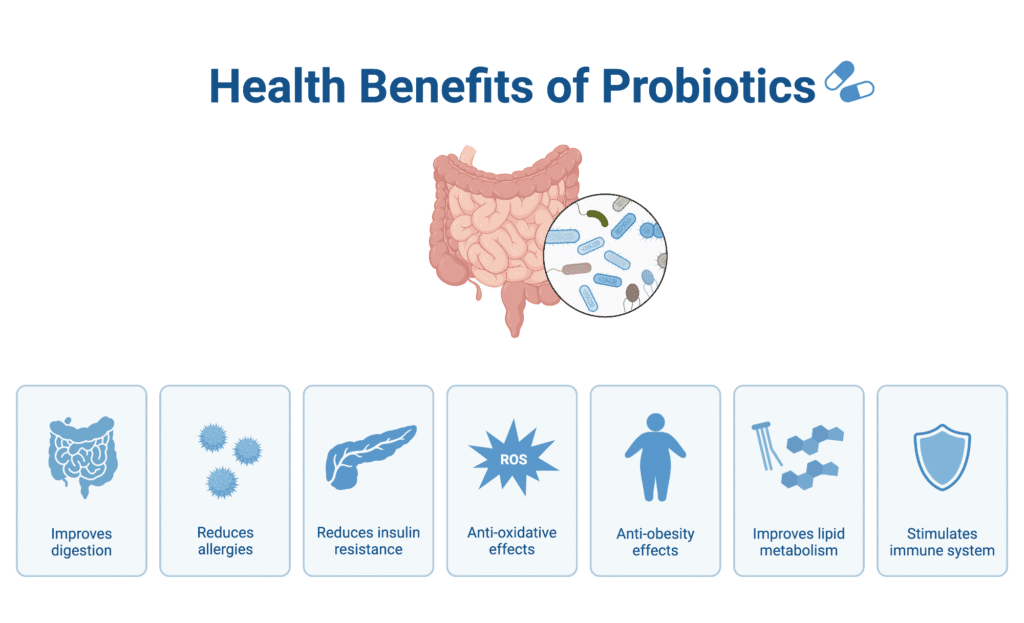 acne and the gut skin connection 2