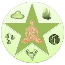 prakriti vs vikriti in ayurveda understanding body balance